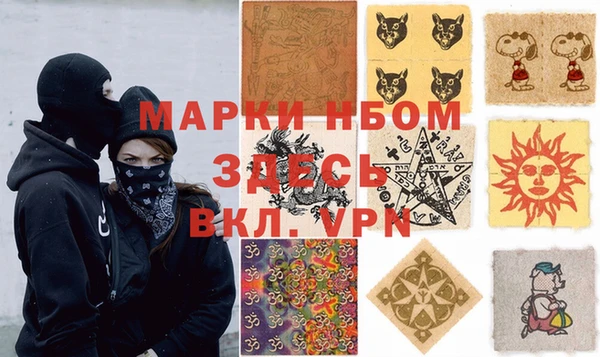 крисы Баксан