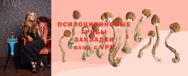 Альфа ПВП Балахна