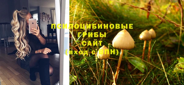Альфа ПВП Балахна