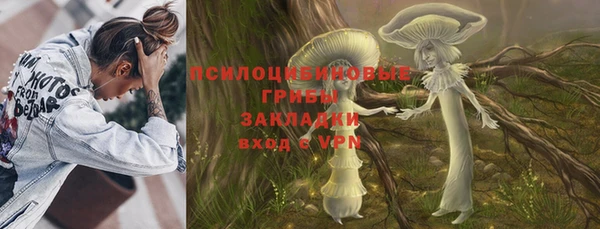 крисы Баксан