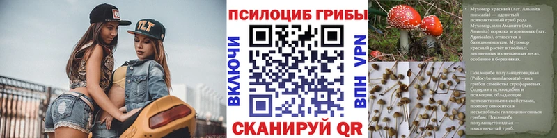 Псилоцибиновые грибы Cubensis  Курганинск 